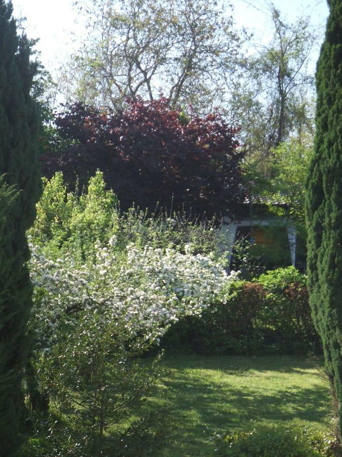 La Rose Tremiere Hotel Wintzenheim-Kochersberg Екстериор снимка
